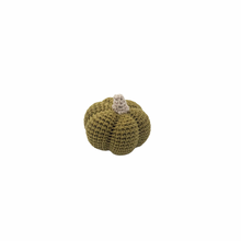 Load image into Gallery viewer, Crochet Pumpkin Green