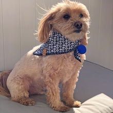 Load image into Gallery viewer, Halloween Dog Bandana Spooky Skulls