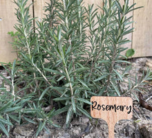 Load image into Gallery viewer, Veggie Garden or Plant Bamboo Label