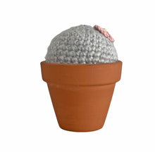 Load image into Gallery viewer, Plant Pal - Fluffy Cactus