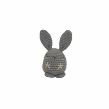 Load image into Gallery viewer, Piper Bunny Crochet Toy with Flower Embroidery