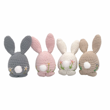 Load image into Gallery viewer, Piper Bunny Crochet Toy with Flower Embroidery