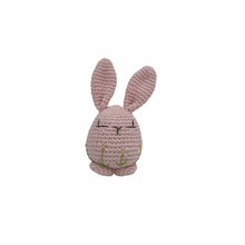 Load image into Gallery viewer, Piper Bunny Crochet Toy with Flower Embroidery