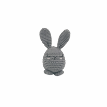 Load image into Gallery viewer, Piper Bunny Crochet Toy