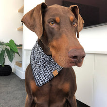 Load image into Gallery viewer, Halloween Dog Bandana Spooky Skulls
