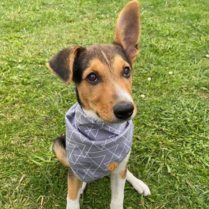 Dog Bandana Grey Triangles