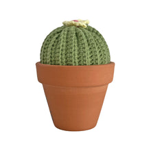 Load image into Gallery viewer, Plant Pal - Barrel Cactus
