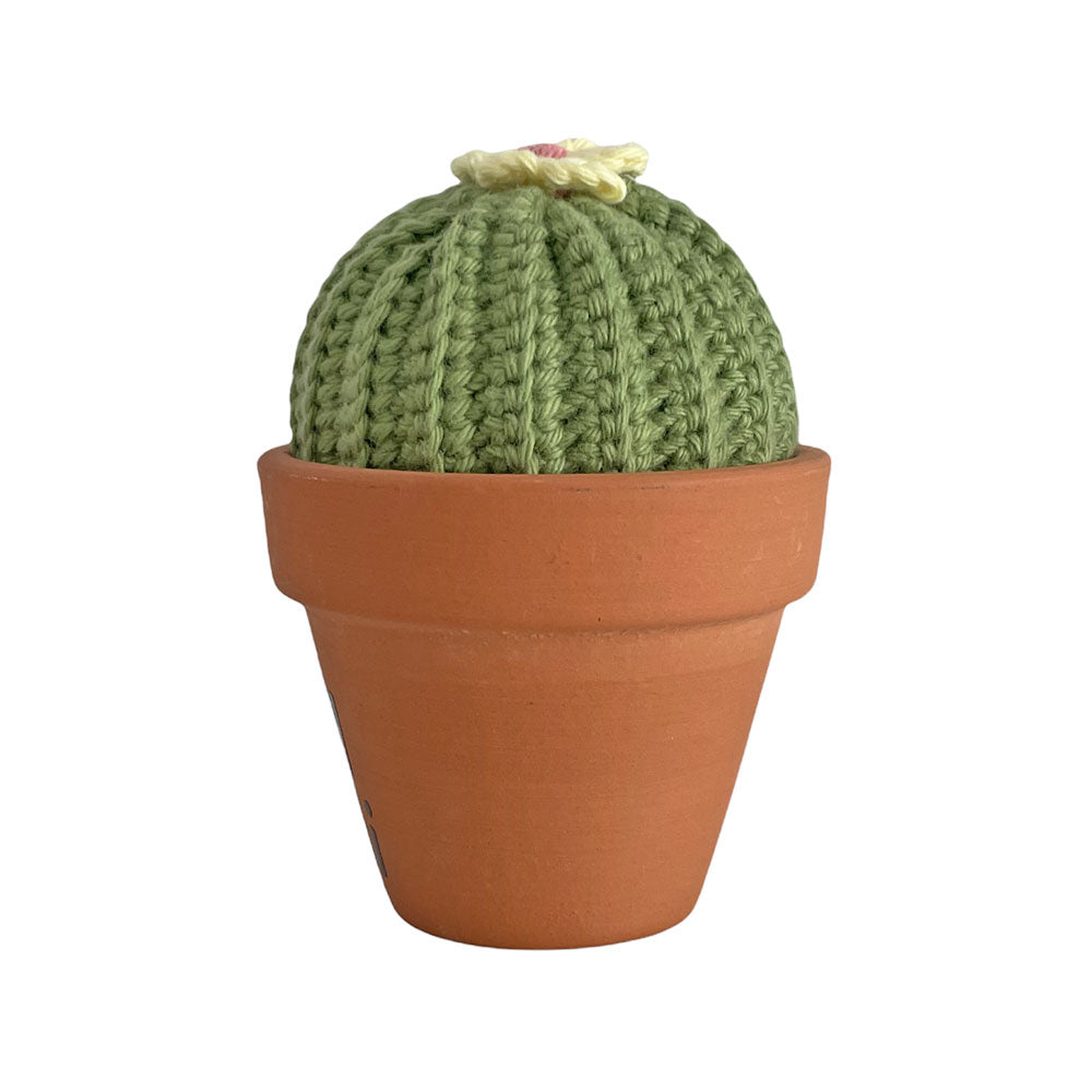 Plant Pal - Barrel Cactus