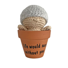 Load image into Gallery viewer, Plant Pal - Fluffy Cactus
