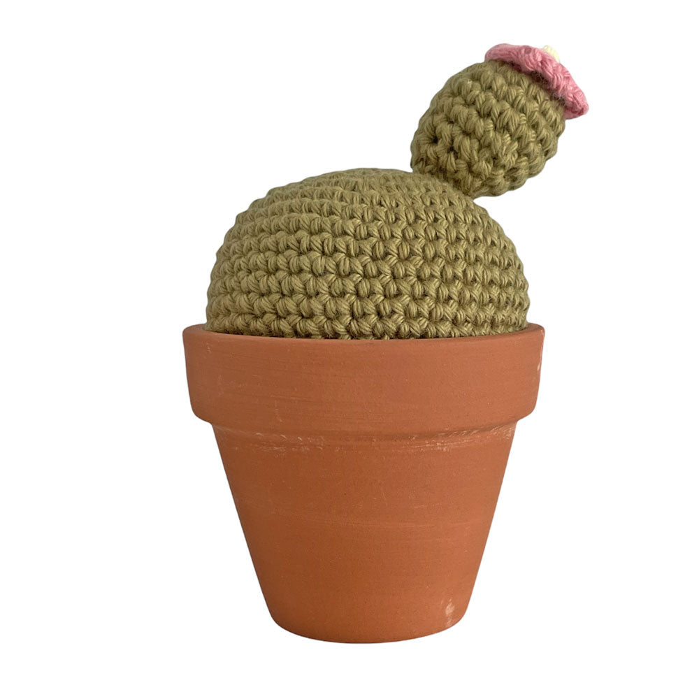 Plant Pal - Saguaro Cactus