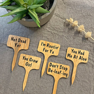 Plant Sign - Don’t Stop Be-leaf-ing