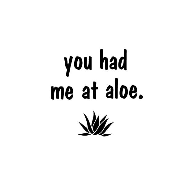Plant Pot Label - You Had Me At Aloe