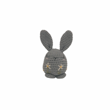 Load image into Gallery viewer, Piper Bunny Crochet Toy with Flower Embroidery
