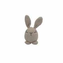 Load image into Gallery viewer, Piper Bunny Crochet Toy
