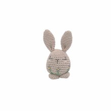Load image into Gallery viewer, Piper Bunny Crochet Toy with Flower Embroidery
