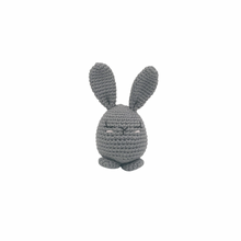 Load image into Gallery viewer, Piper Bunny Crochet Toy
