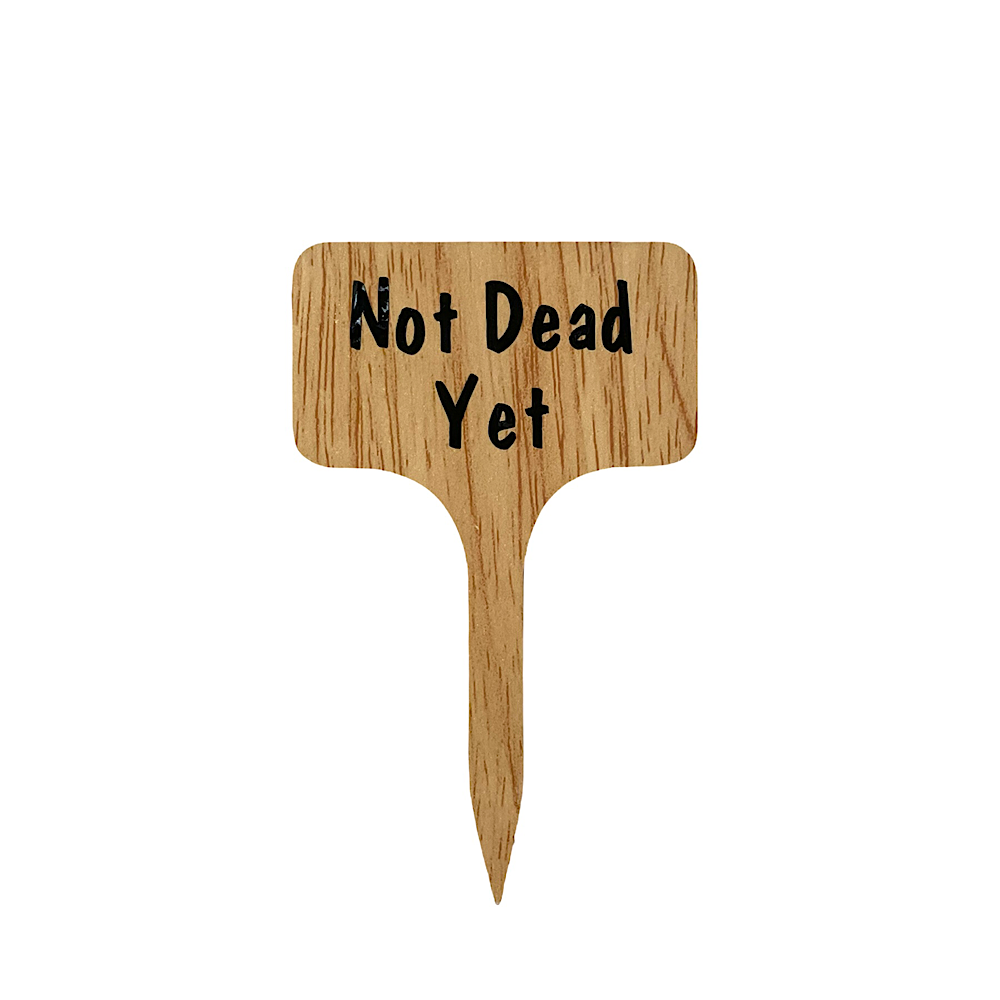 Plant Sign - Not Dead Yet